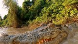 Ghost Croc