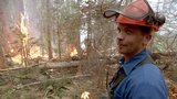 Forest Firefighters