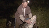 Alligator Trappers
