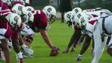 South Carolina Football Uncut