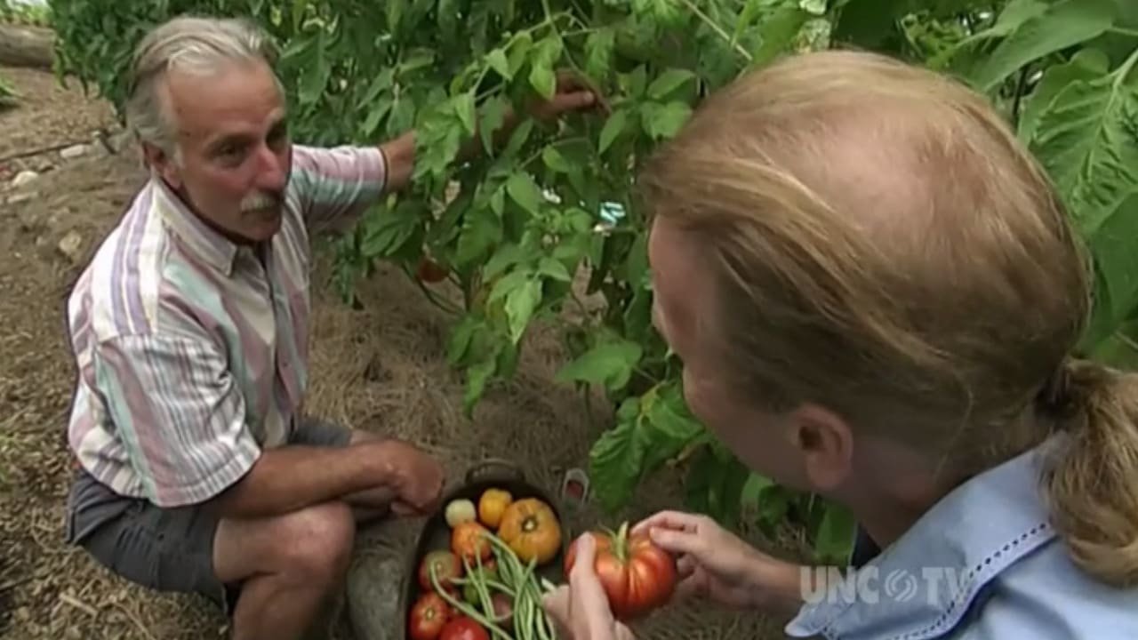 The Victory Garden