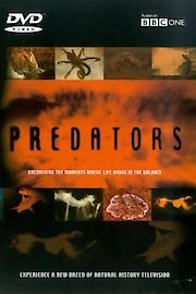 Predators