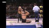 WCW World Heavyweight Championship Match: The Giant vs. Hollywood Hulk Hogan, Hog Wild - August 10, 1996