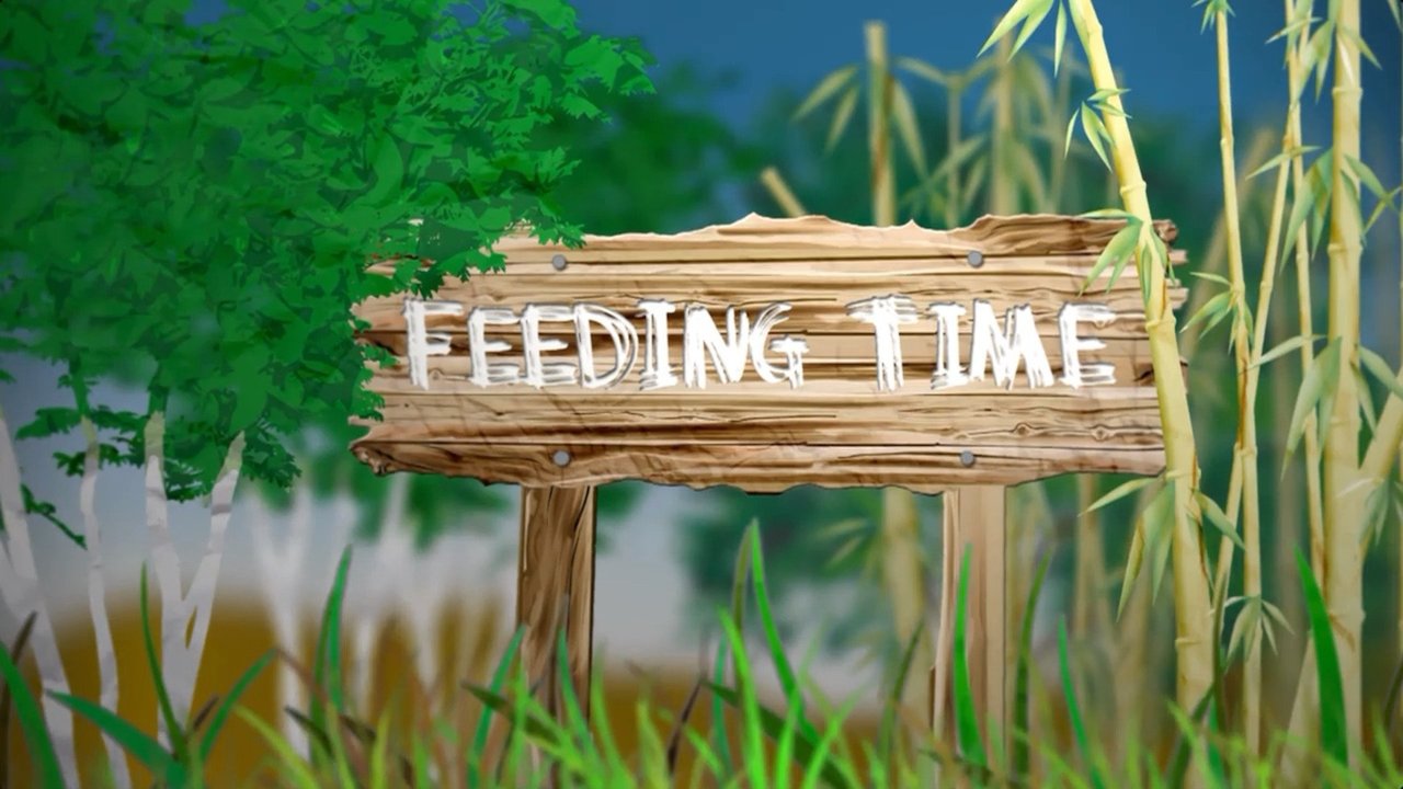 Feeding Time