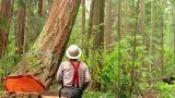 The Edge of Oregon