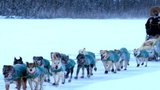 Underdog