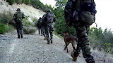 Unarmed and Dangerous