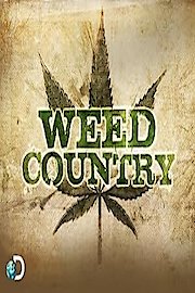 Weed Country