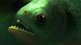 Durante siglos, el Amazonas ha sido hogar del monstruo mas feroz de agua dulce jamas conocido: la piraña. Ahora, estos mortales peces aparecen en lagos y rÃ­os de los Estados Unidos. El equipo de En Busca de Monstruos investiga.