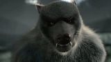El Hombre Lobo Americano