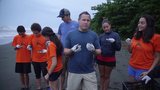 Leatherback Turtles in Costa Rica