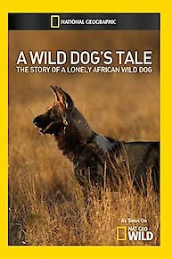 A Wild Dog's Tale