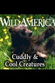 Wild America, Cuddly & Cool Creatures Collection