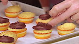 Mini Cupcakes