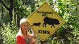 Princess & The Pig
