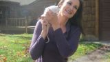 Reigning Rats & Dogs