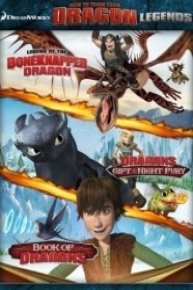 DreamWorks How to Train Your Dragon Legends