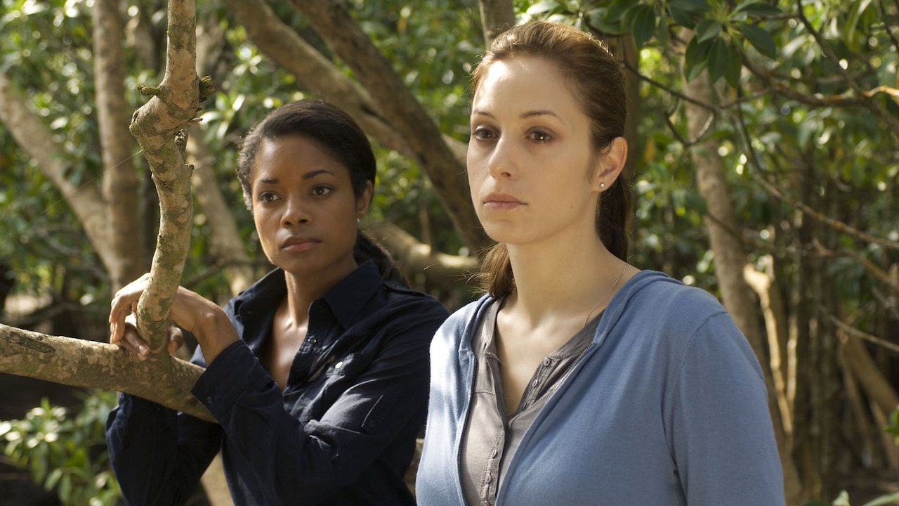 Blood and Oil (2010)