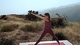 Twist and Flow