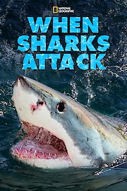 When Sharks Attack