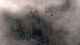 Alaskan Zipline