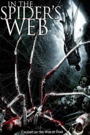 In the Spider's Web