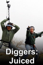 Diggers: Juiced