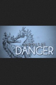 Animals in Danger