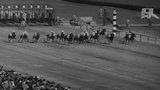 Odds Against the Jockey