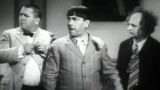 The Three Stooges Family Album