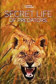 Secret Life of Predators