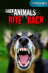 When Animals Bite Back