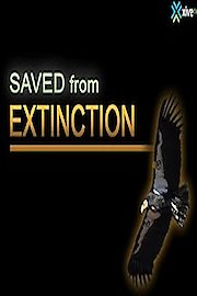 Saved From Extinction