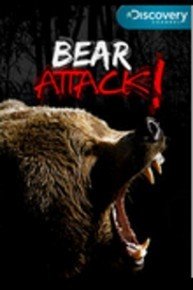 Bear Attack!