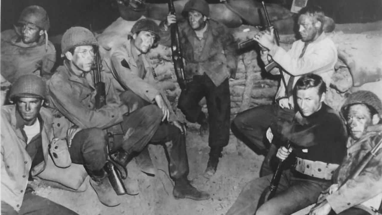 World War II: The Last Heroes