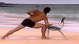 Rodney Yee's Back Care Yoga