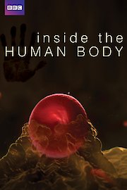 Inside the Human Body