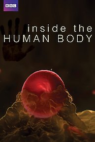 Inside the Human Body