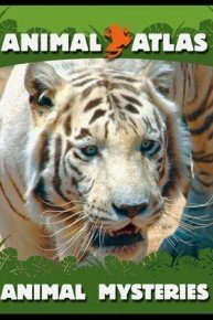 Animal Atlas: Animal Mysteries
