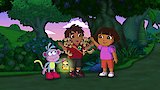 Dora's Night Light Adventure