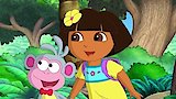 Dora's Rainforest Talent Show