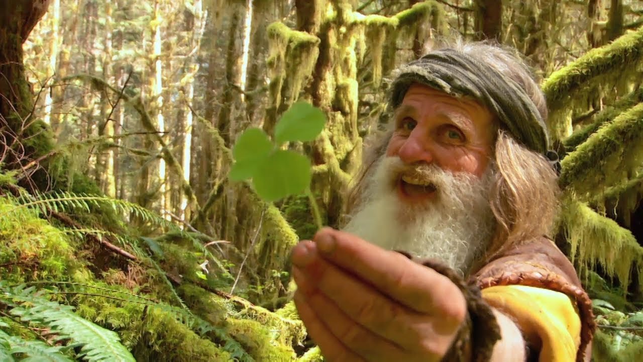 The Legend of Mick Dodge