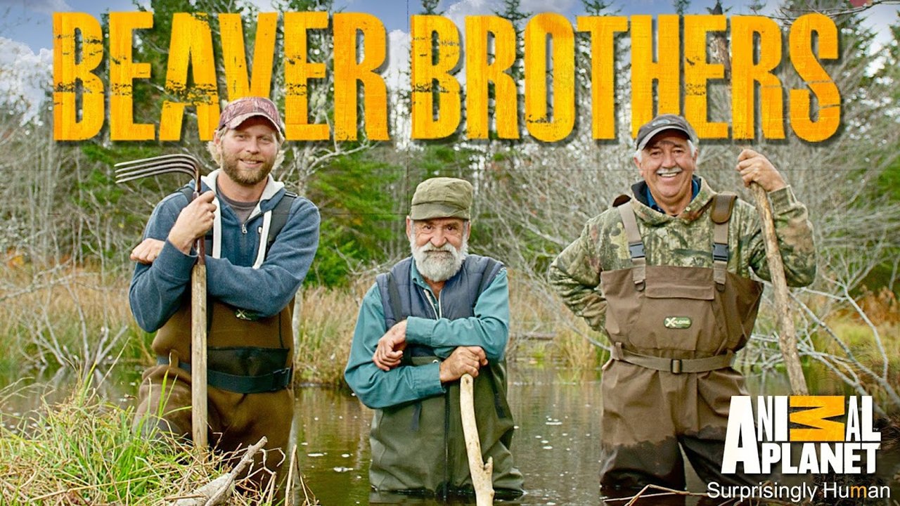 Beaver Brothers