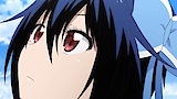 Fate / Showdown