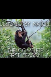 Designed By Nature