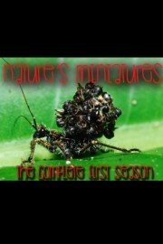 Nature's Miniatures