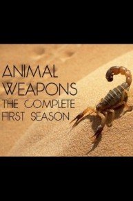 Animal Weapons