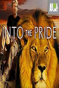 Into The Pride