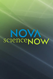 NOVA scienceNOW