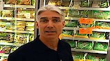 Weight Loss Diet & Nutrition